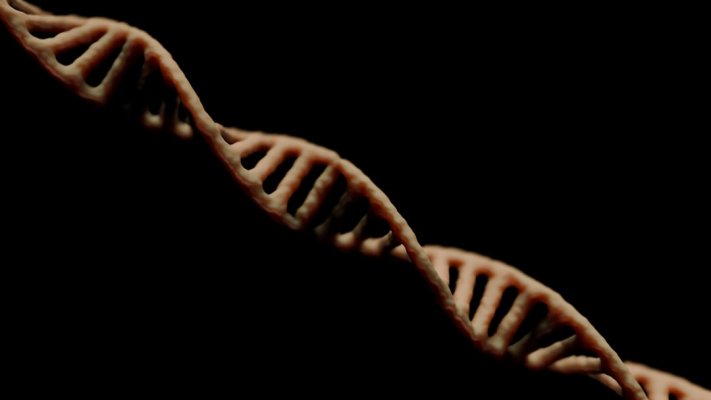 2025'te Genetik Yol Haritanız: Çocuğunuzun Geleceği