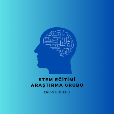 STEM'in Yeni Yüzü: 2025 Vizyonu